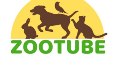 Zootube